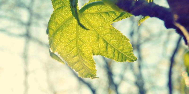 从入门到专业：DJ培训88带你解锁混音艺术与职业舞台