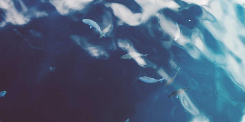 从入门到专业：全面解析DJ培训与音乐制作的融合之路