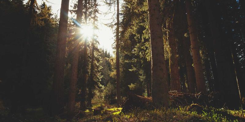 从入门到精通：全面解析DJ培训与混音艺术的职业之路