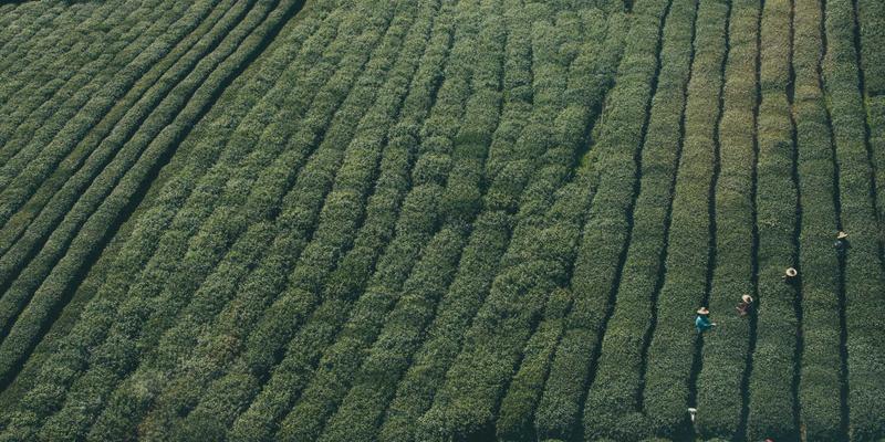 从入门到精通:全面解析DJ培训与电子音乐的艺术之路