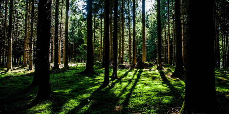 从入门到精通：全面解析DJ培训与音乐制作课程的核心价值