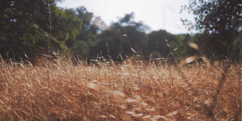 从曲库搭建到现场掌控：专业DJ课程教你婚礼与商业活动的编曲与氛围营造秘诀