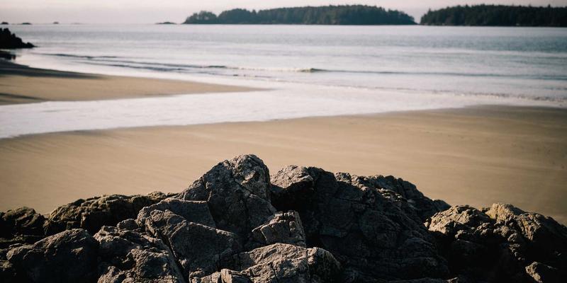 从编曲到混音：模块化合成器如何重塑电子音乐现场表演