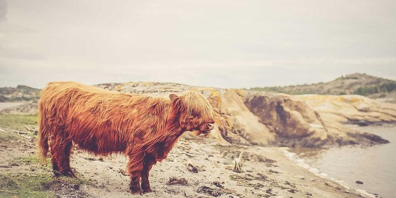 从编曲到舞台：DJ培训37课程如何重塑你的电子音乐之路