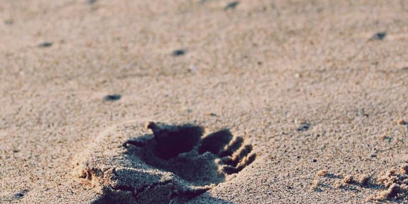 从零开始：如何构建你的第一套家庭DJ工作室 | 电子音乐制作与编曲入门指南