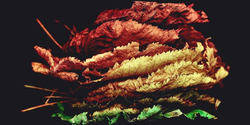 双人DJ协作的艺术：深度解析Back-to-Back与Tag Team演出的默契培养与专业流程设计