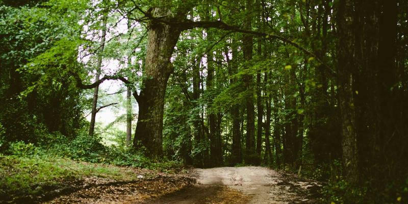 家庭派对DJ入门指南：如何用入门设备与基础混音技巧营造完美氛围